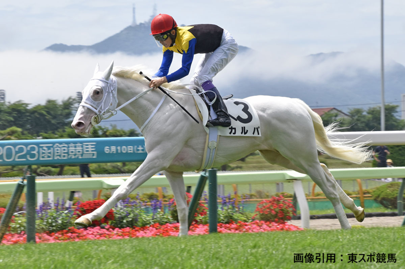 競馬インフォメーションクラブ(個人で運営) tweet media