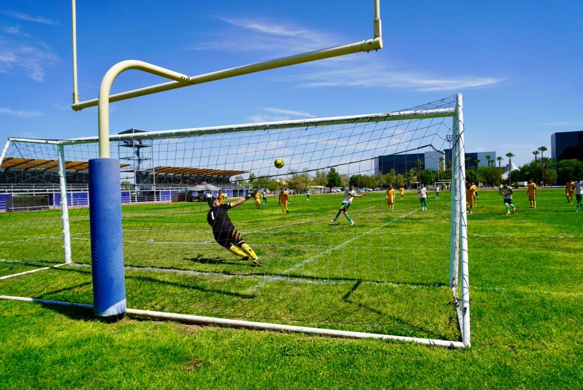 DIF Torreón tweet media
