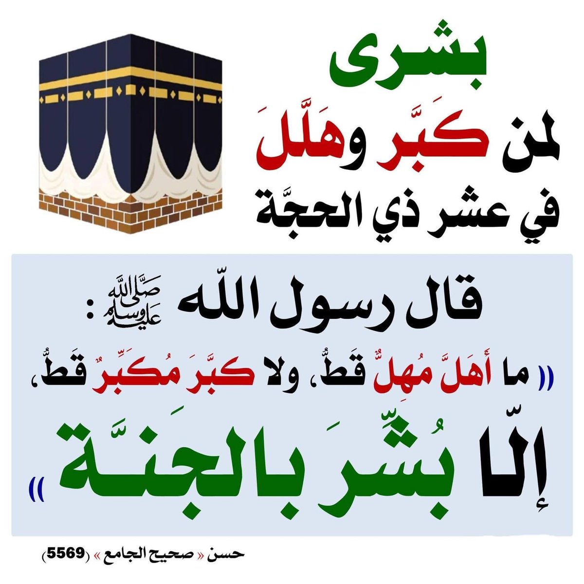 لمياء الخضر tweet media