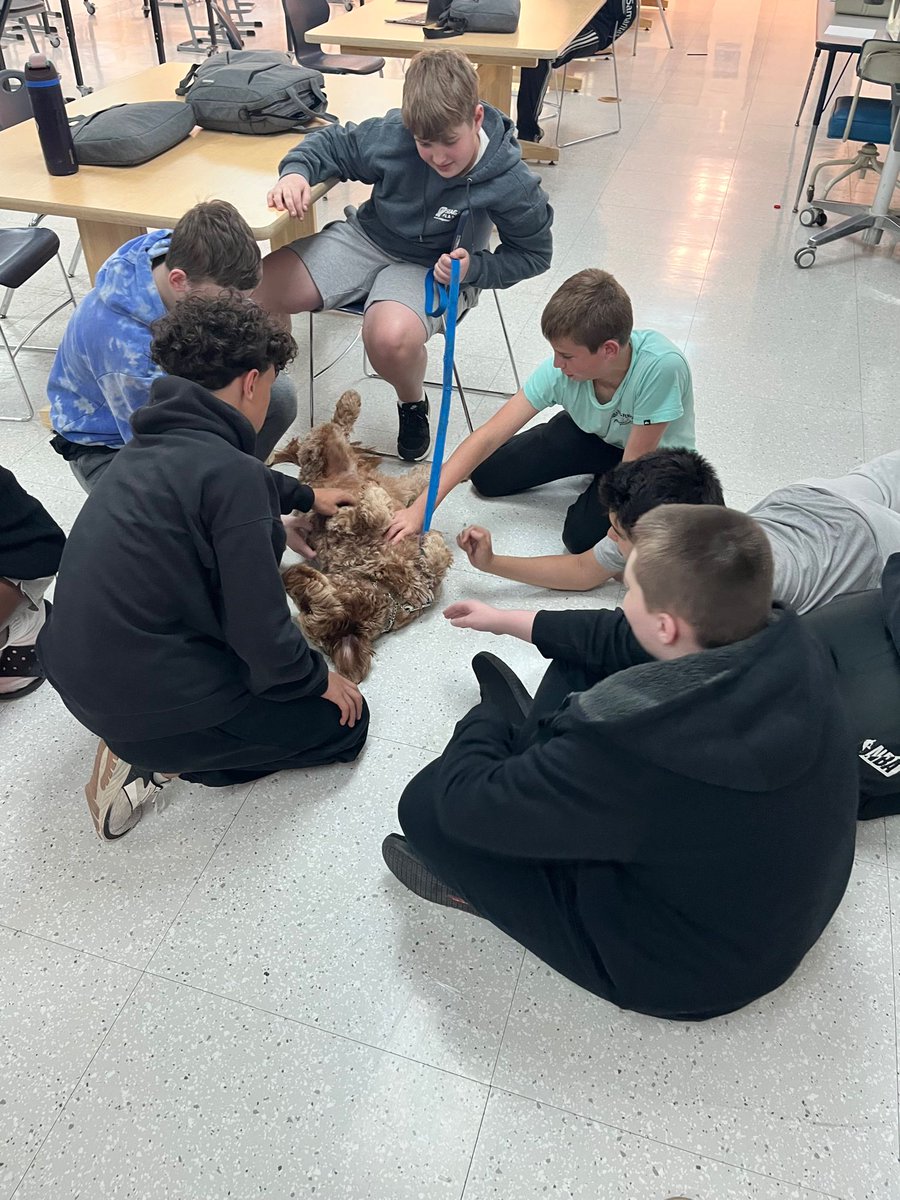 SpringbrookMS's tweet photo. Some dog training with Mrs. Hughes class today for Beau and his buddies. https://t.co/Tz9ddDOL17