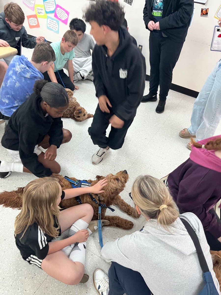 SpringbrookMS's tweet photo. Some dog training with Mrs. Hughes class today for Beau and his buddies. https://t.co/Tz9ddDOL17