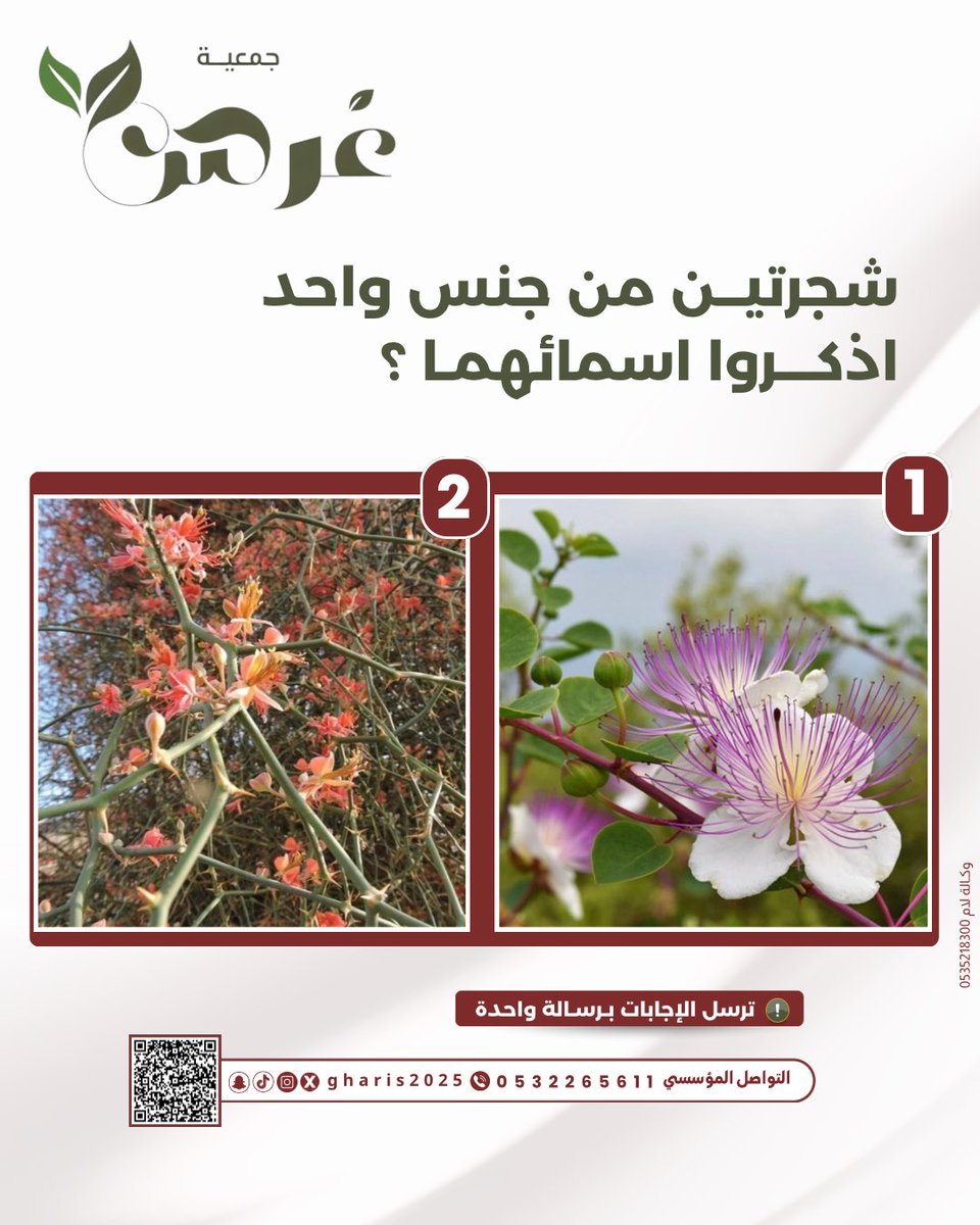 gharis2025's tweet photo. من أسئلة اليوم في قروب #جمعية_غرس 🌿 https://t.co/Xf5uV0g9hc