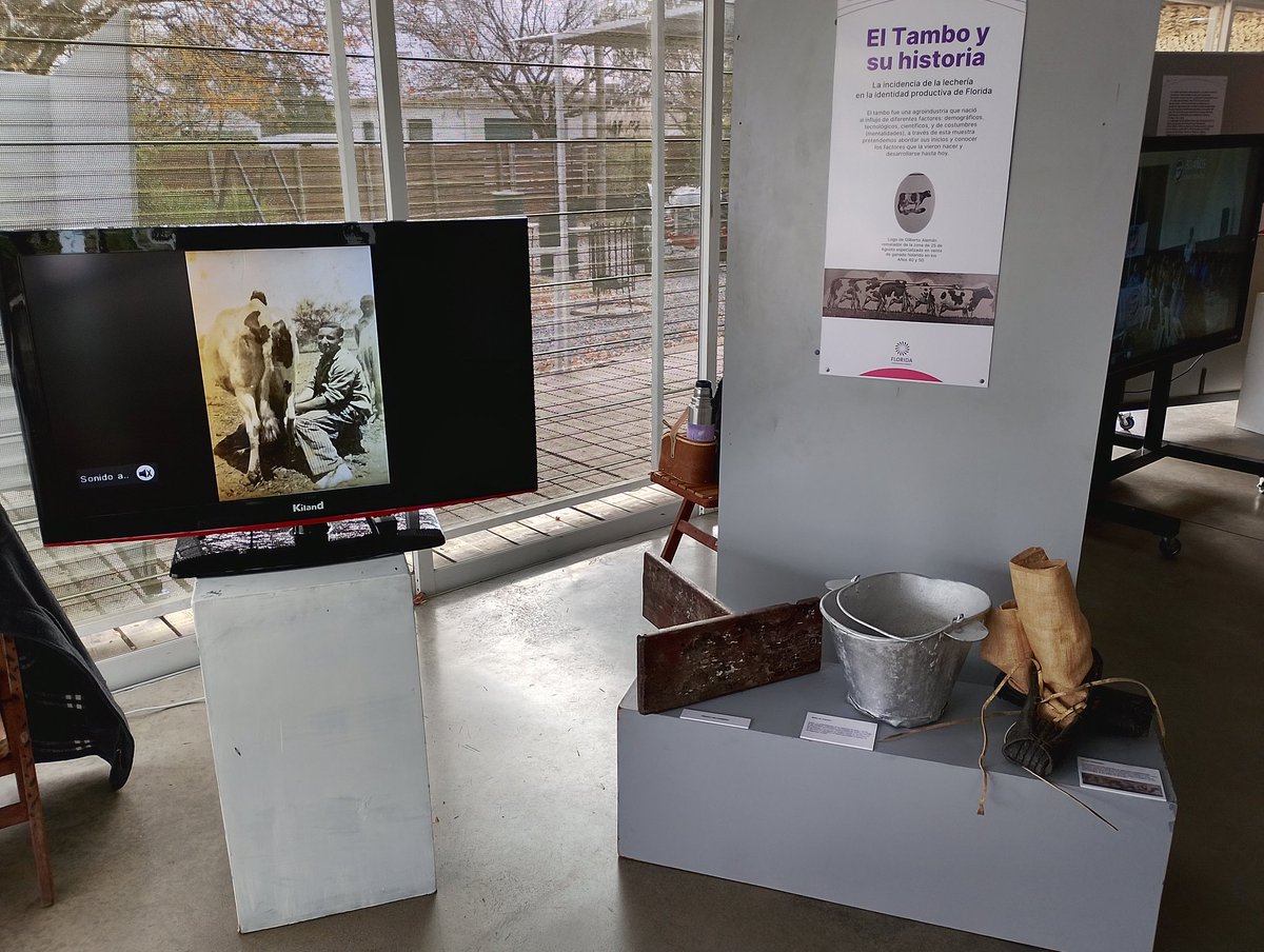 tvflorida's tweet photo. El Museo Histórico Departamental expone la Historia de la lechería en Florida en el marco del lanzamiento de la zafra lechera y la Expo Holando. https://t.co/ddKO53PD6N