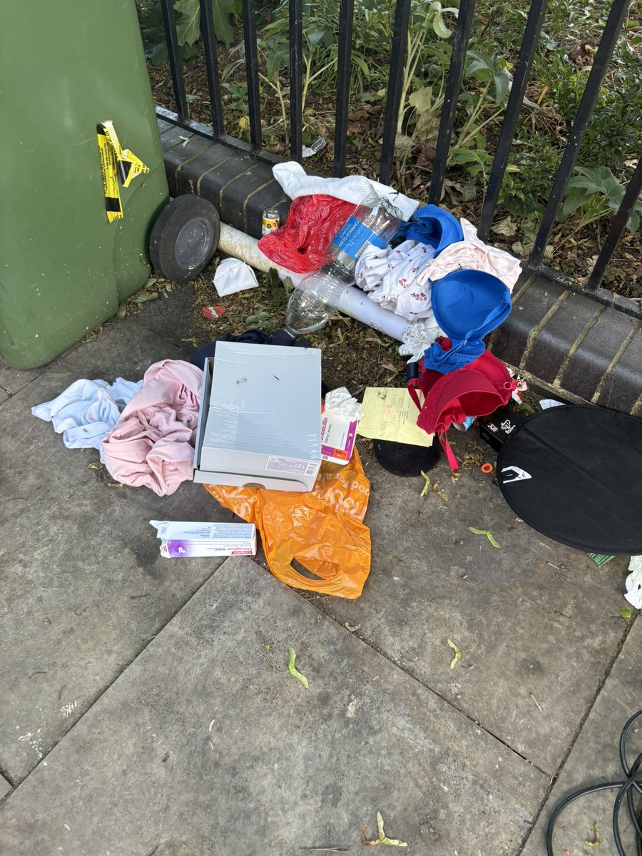 PullensGardens's tweet photo. Many times I start cleaning and I forget to take the picture of the mess, here’s half of the mess I cleaned this evening. https://t.co/DHudEGcwQQ