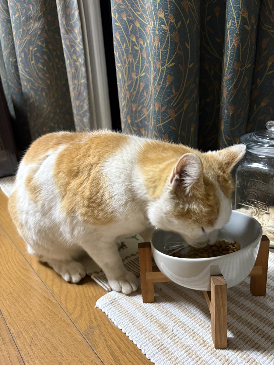むぎ tweet media