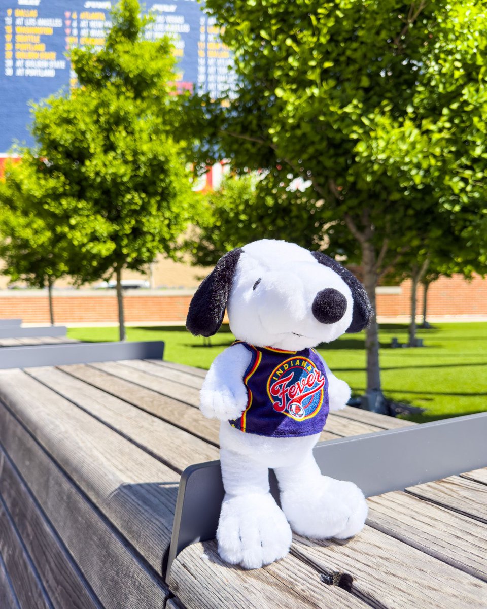 Fever Team Store tweet media