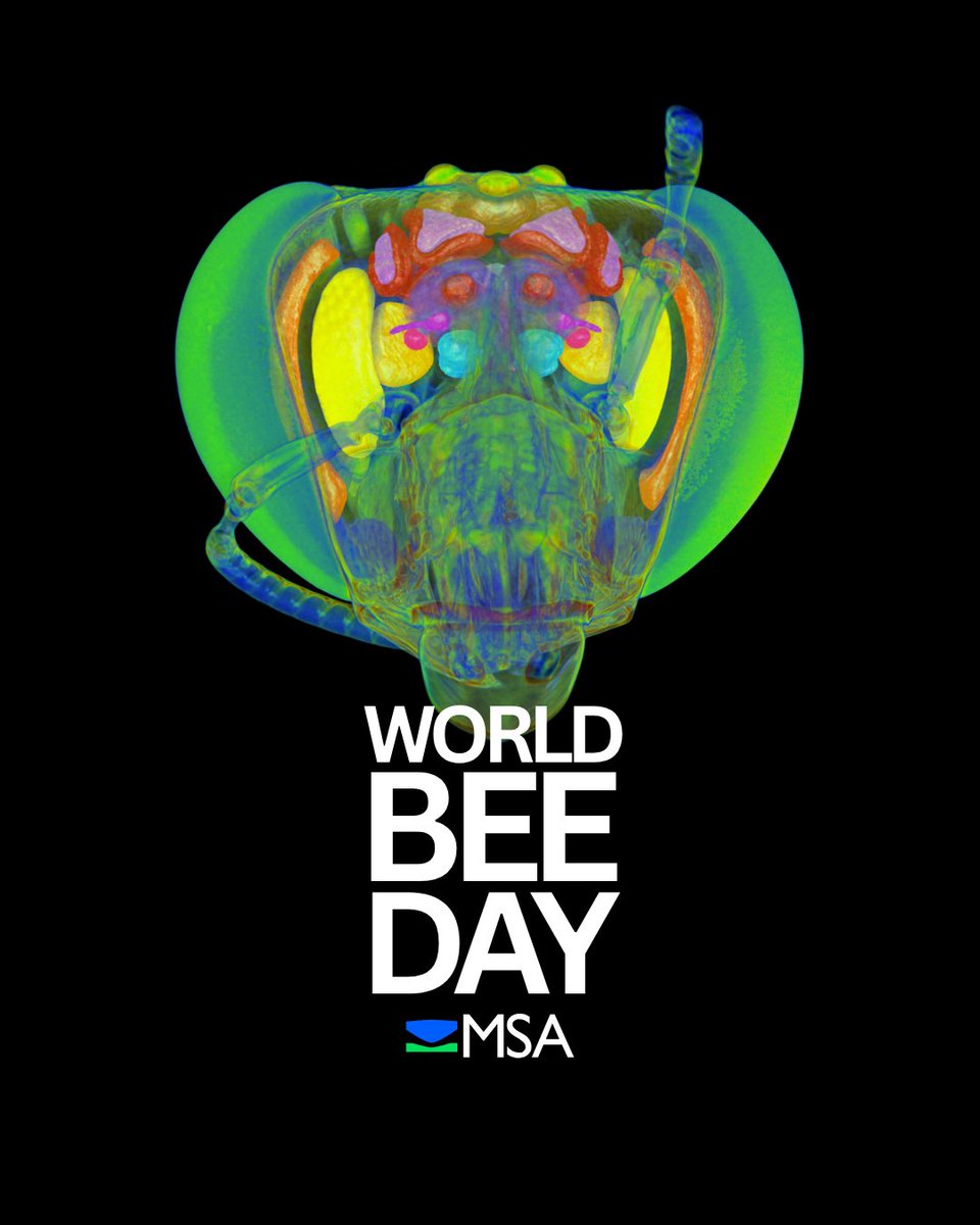 Microscopy Society tweet media