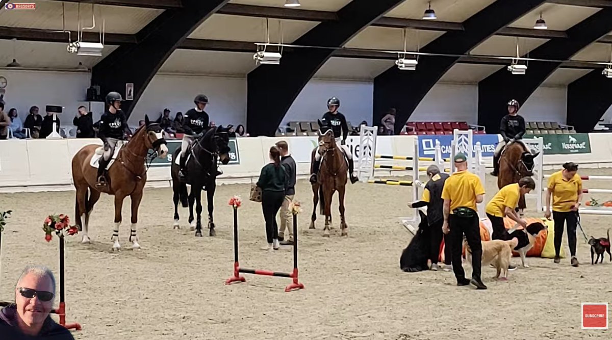 KassDays's tweet photo. Calgary PetFest, this is mostly about the horses, you can watch the full video by following the link below. This was at Spruce Meadows Calgary, love Spruce Meadows and of course the horses too, plus all the other animals.
https://t.co/IzVDop9Ey0 https://t.co/CDihHLf43o