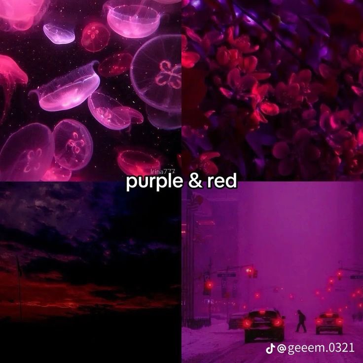violet✧*。 tweet media