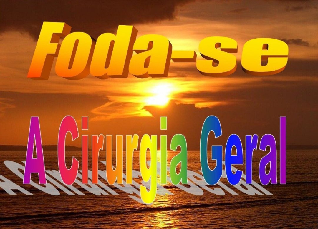 blenda tweet media