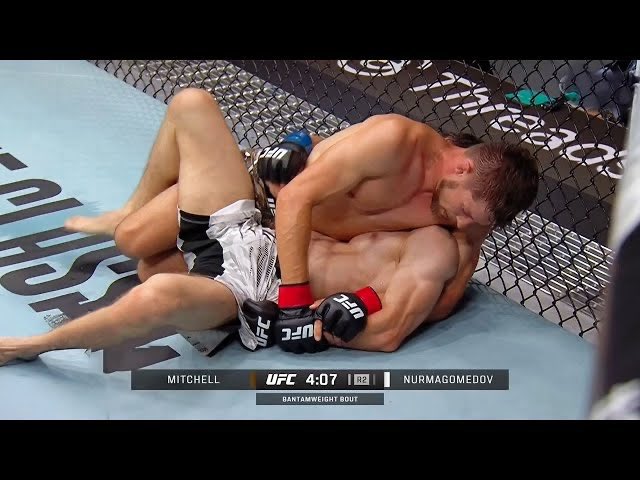 mma fan tweet media