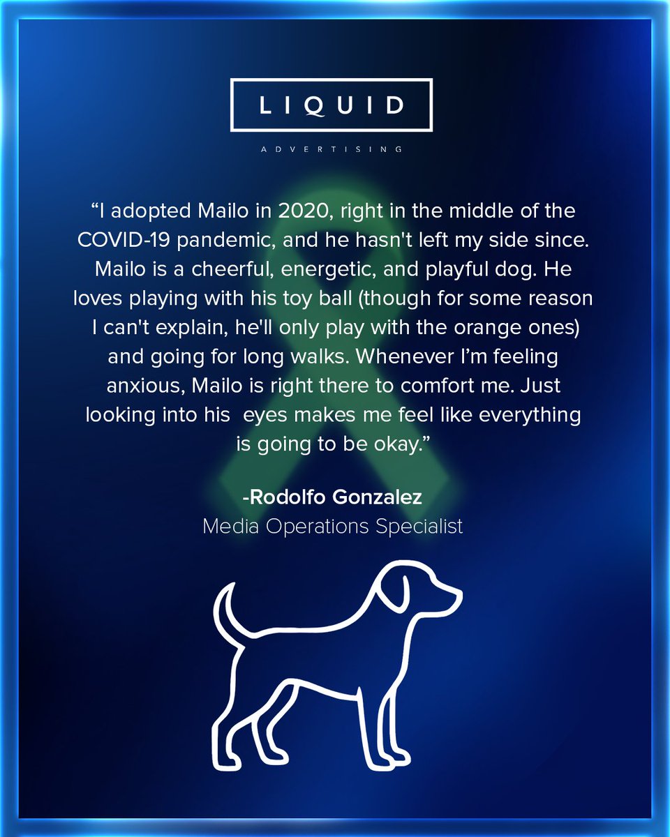 Liquid Advertising tweet media