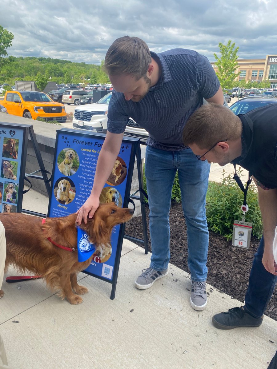 HydriteCo's tweet photo. This week's office visitors had four paws, big smiles, and zero interest in personal space 🐾👀

Thank you to the Golden Retriever Rescue of Wisconsin for visiting our headquarters + giving the team a chance to meet some adorable GRRoW graduates! https://t.co/i7bVLNbQ9D