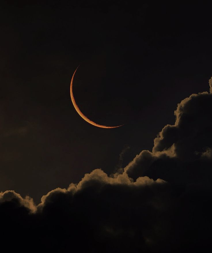 MOON tweet media