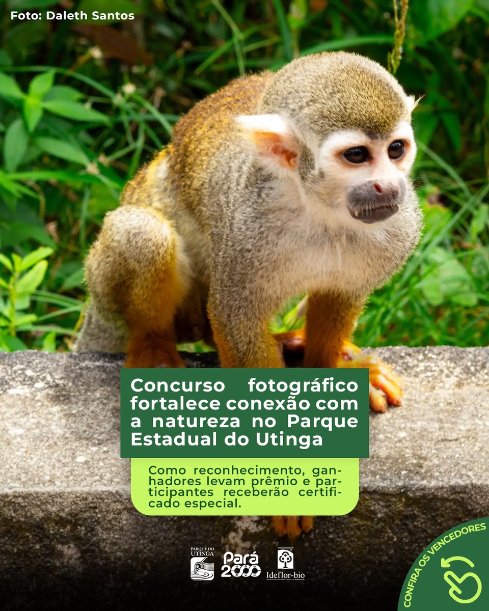 Parque Estadual do Utinga tweet media