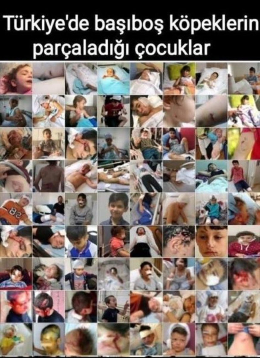 Sema Maraşlı tweet media