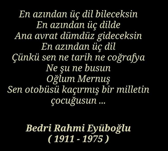 erhan tweet media