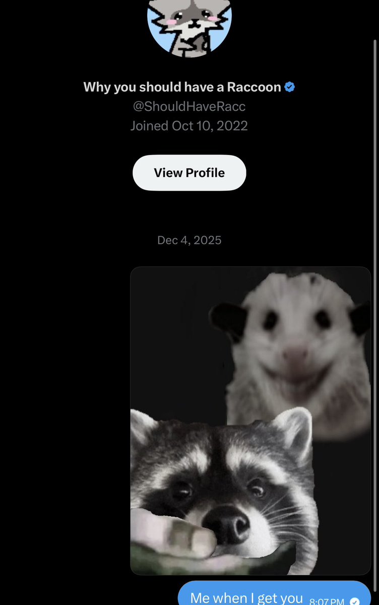 Possumest Opossum to ever Poss tweet media