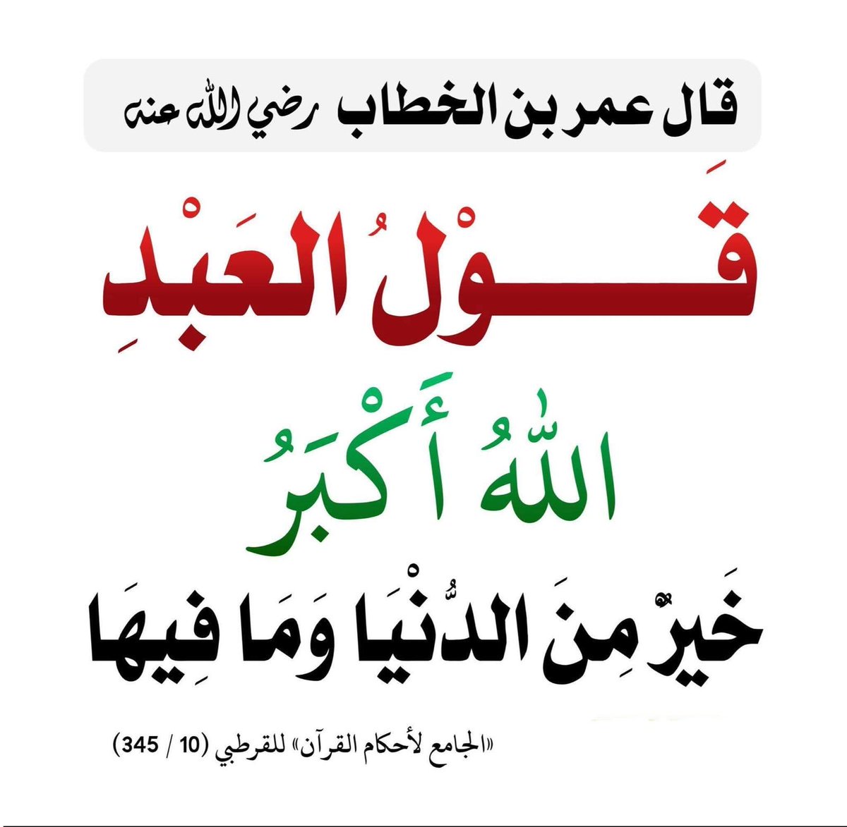 لمياء الخضر tweet media
