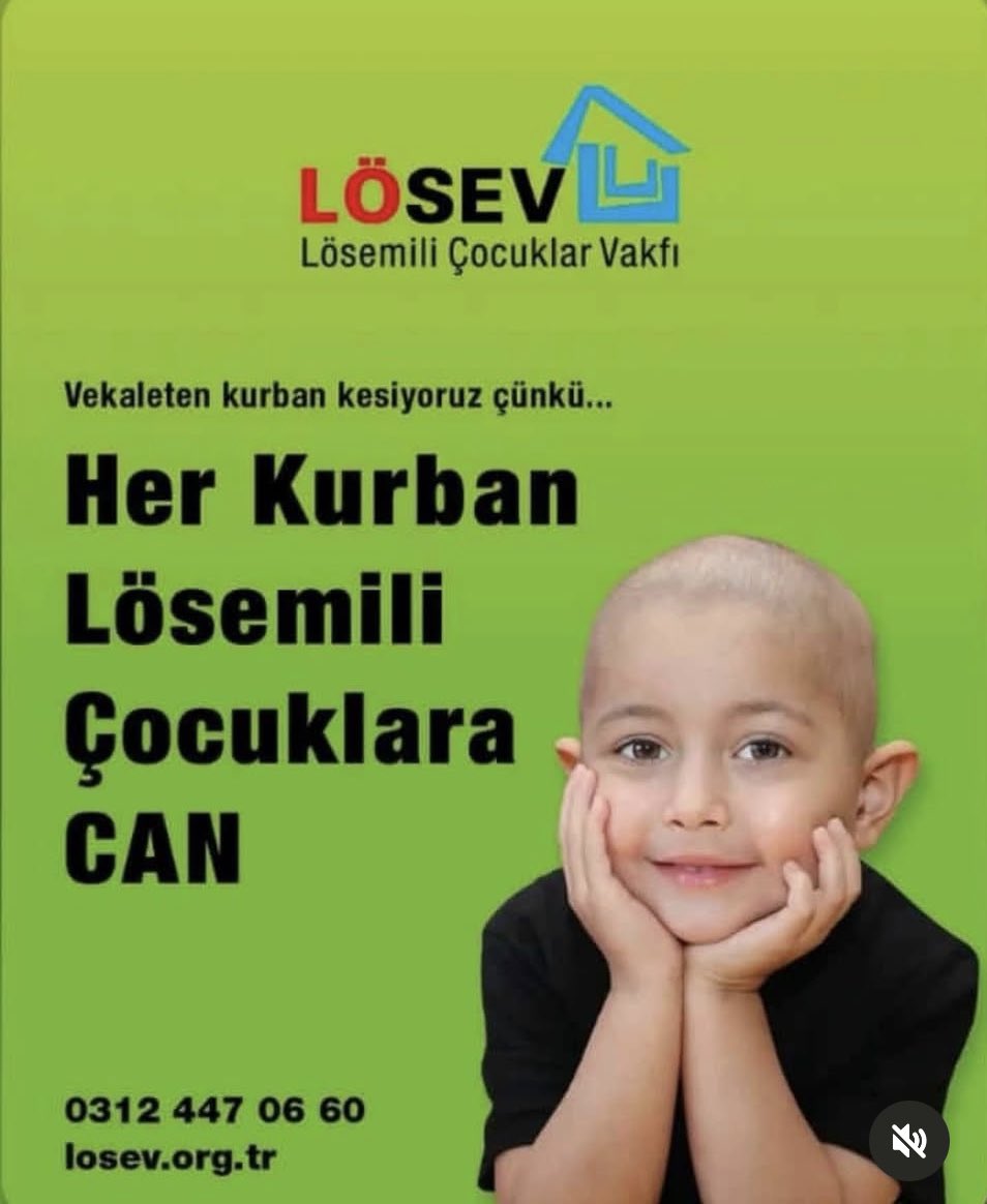 NurayCengiz tweet media