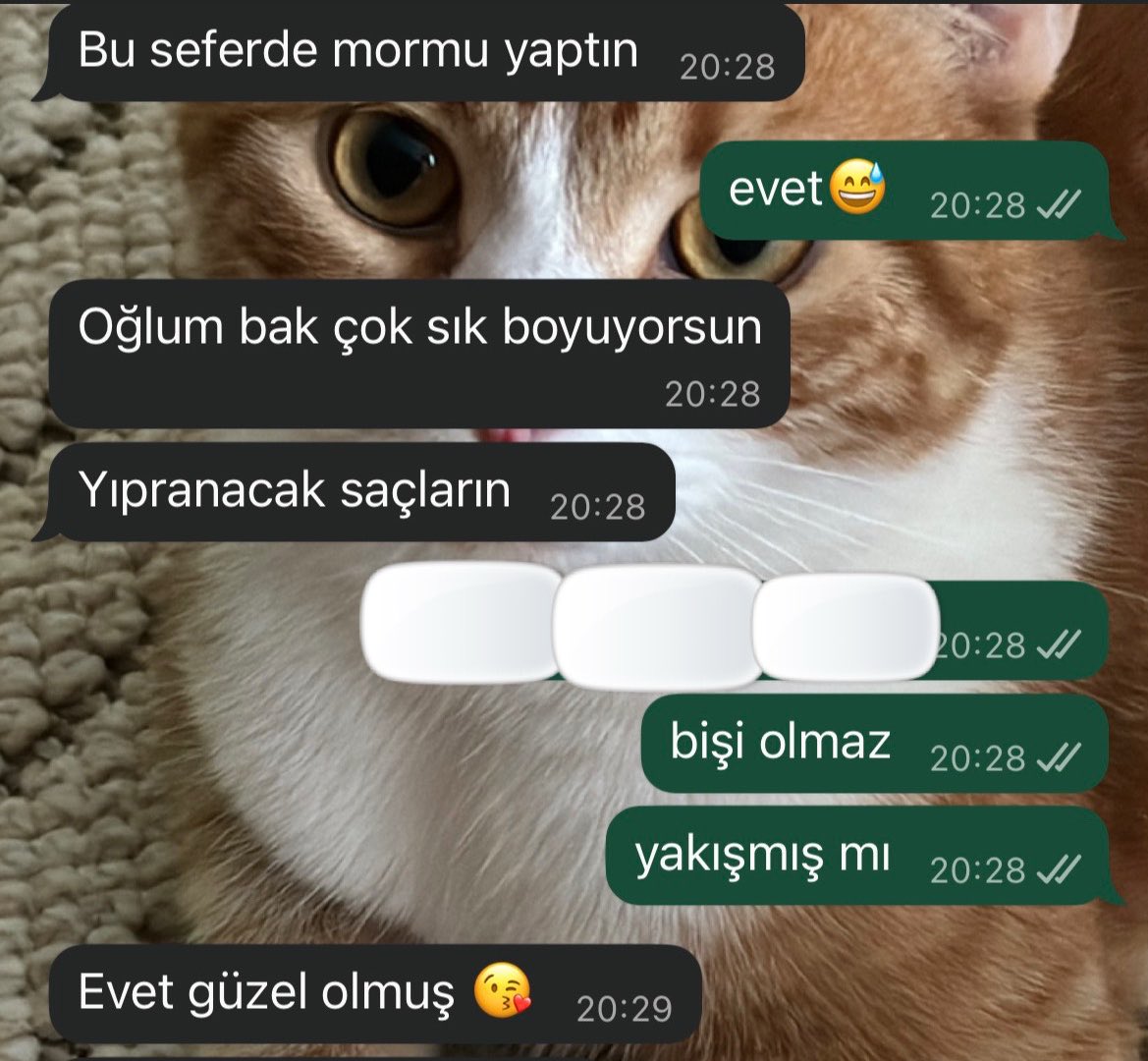 yigit tweet media