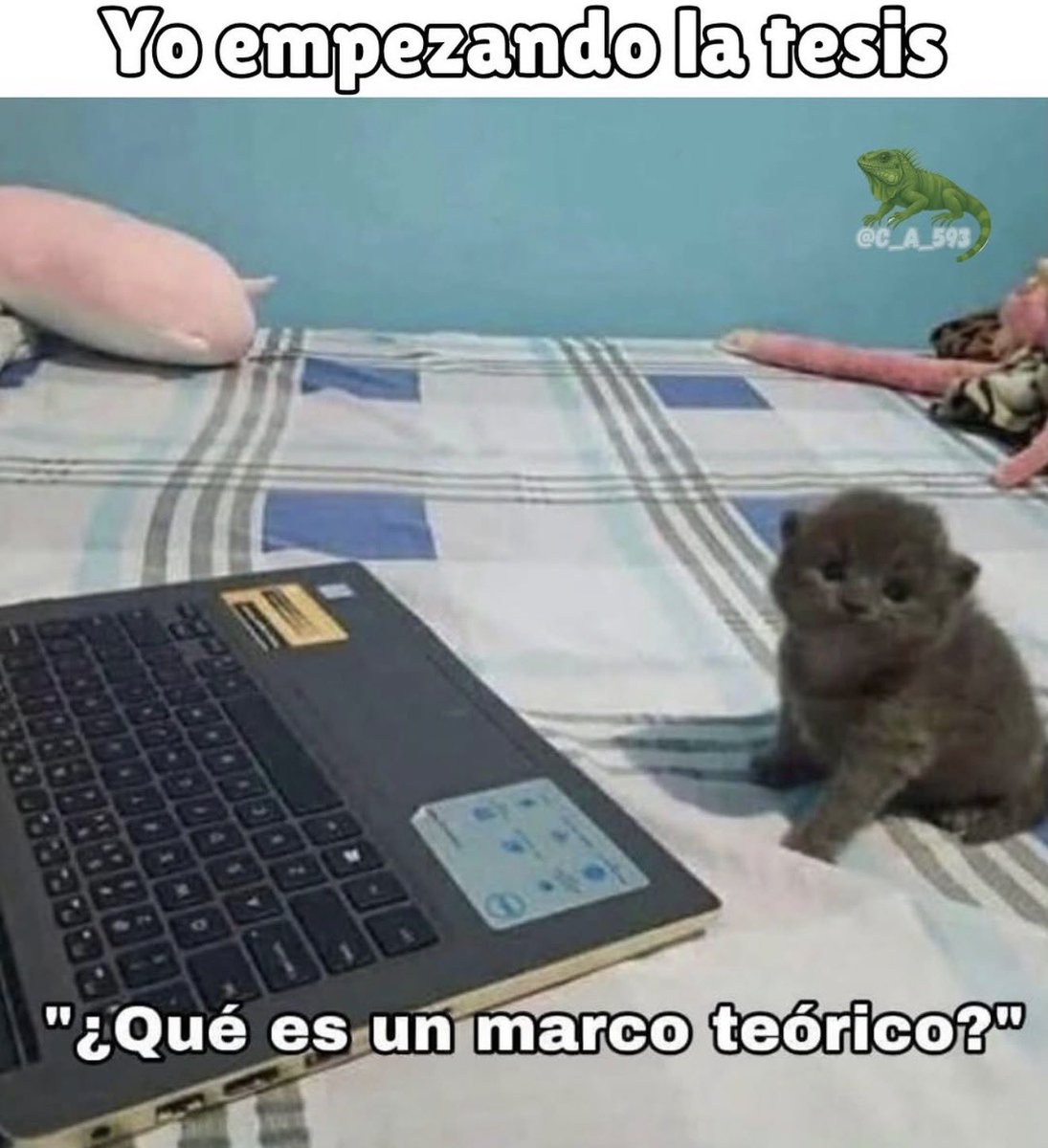 Mundo de Bigotes tweet media
