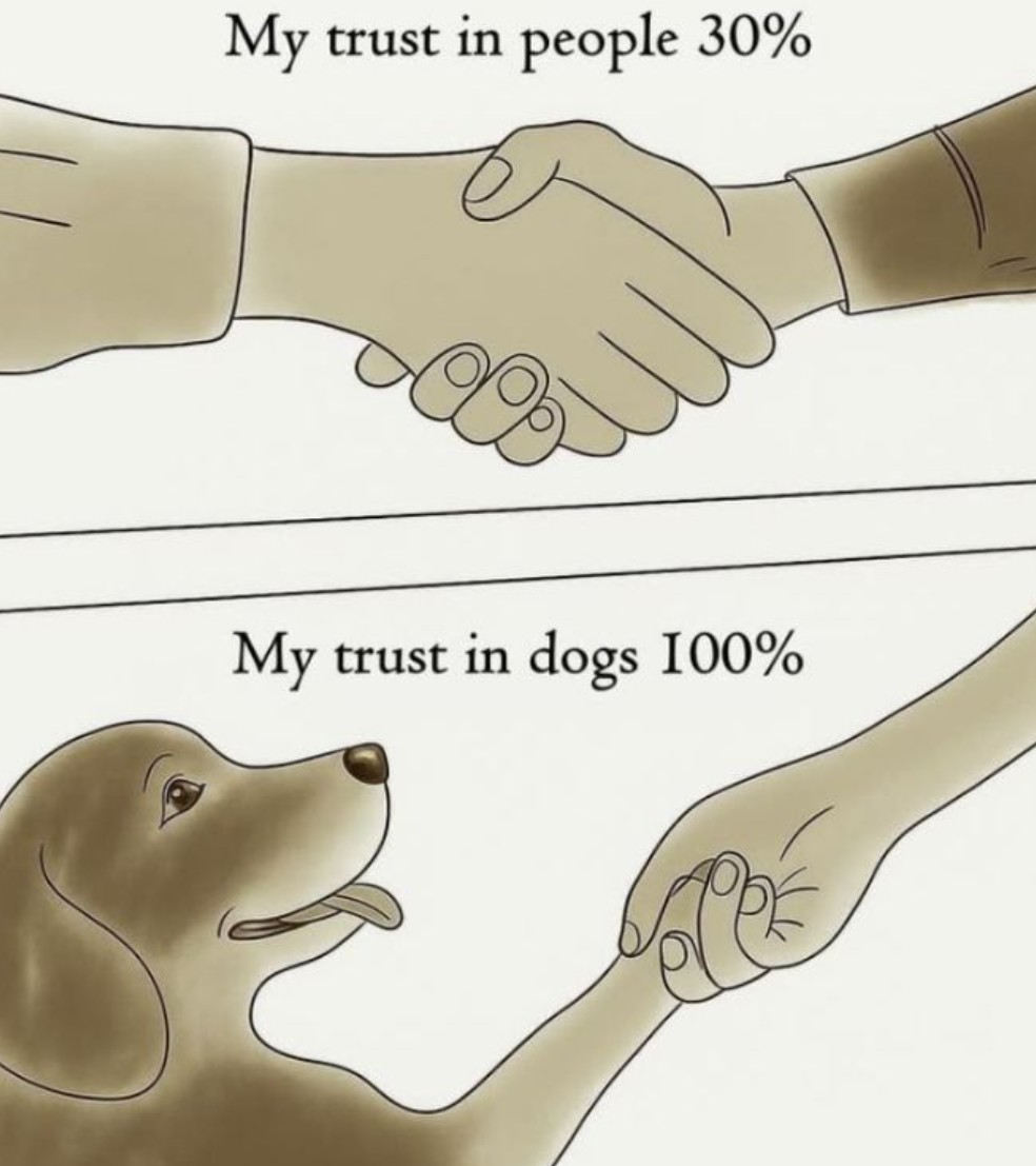 The Dalbo Dog tweet media