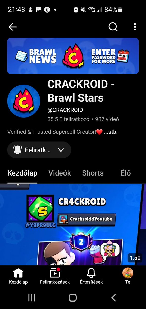 random tweet media