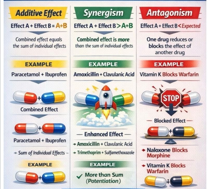 MohmdBio's tweet photo. وش الأهمية السريرية لل synergy &amp; antagonist ؟
#مختبرات_طبية https://t.co/FJx9sIzTdY