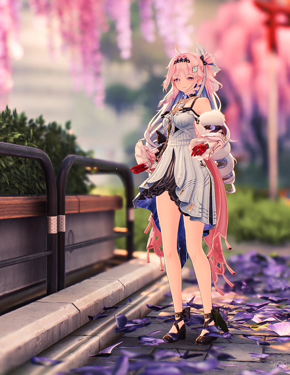 こむぎ (@komugi6a) / Posts / X
