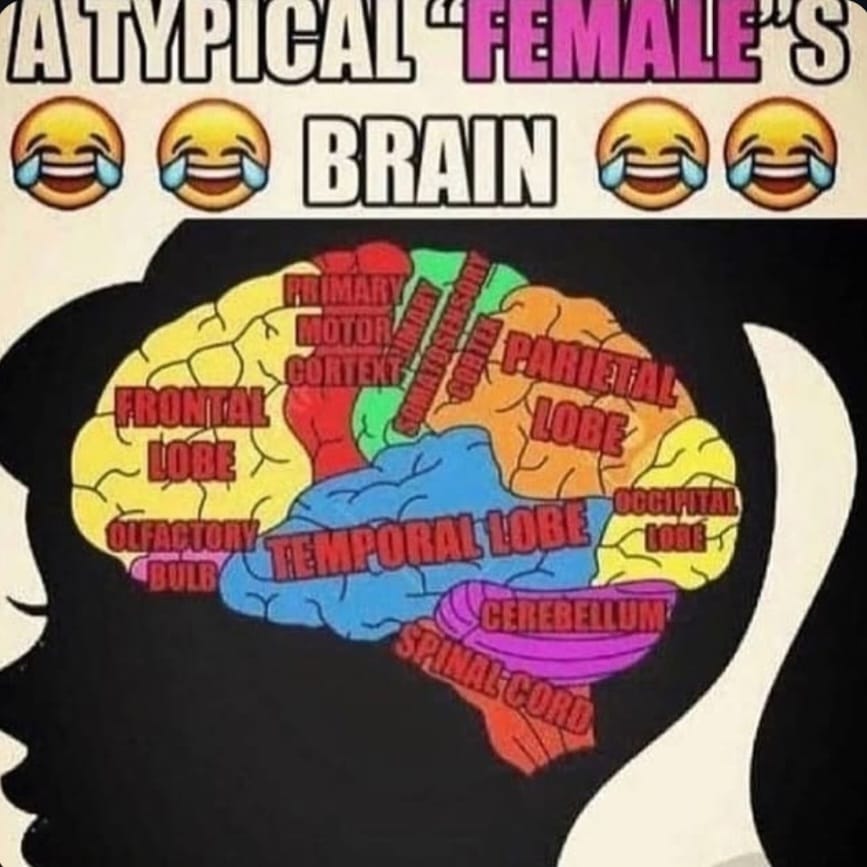 brainrot dimension tweet media