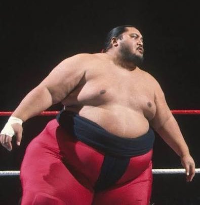Wrestling Figure Attires tweet media