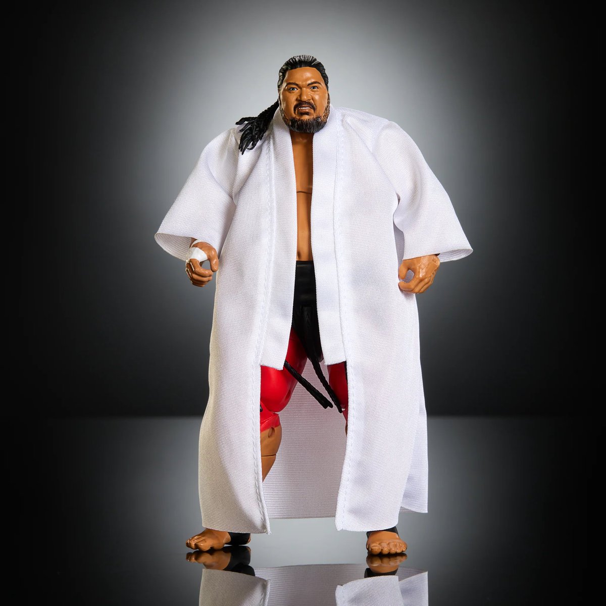 Wrestling Figure Attires tweet media