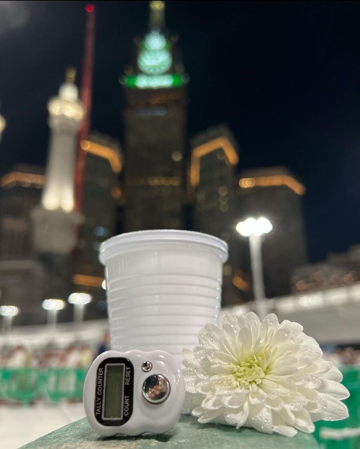 لتَطمَئِنُّ tweet media