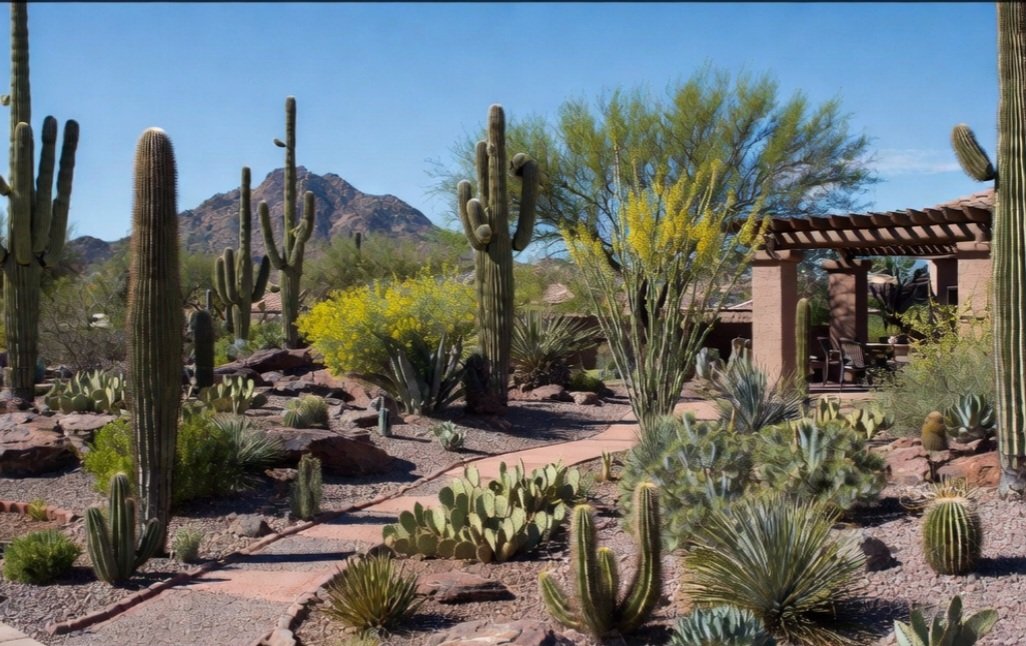 odd_llc's tweet photo. 🌵 Tucson, get ready to level up your outdoor space!

Odds and N’s is excited to announce we’re now offering full landscaping services! From desert-friendly designs and lush installations to hardscaping, maintenance, and complete yard transformations—we’ve got you covered alongside our trusted painting, stucco repairs, roof coatings & more. We have specialists for every trade. 

Family-owned & operated since 2017. Fully licensed (ROC #348421), bonded, and insured. No job too big or too small for homes, businesses, or HOAs.

Beat the summer heat with a beautiful, low-maintenance yard that saves water and boosts curb appeal!

Call or text today: 520-982-0803
 Visit: https://t.co/cK1gX6d2xl

@whatsuptucson
