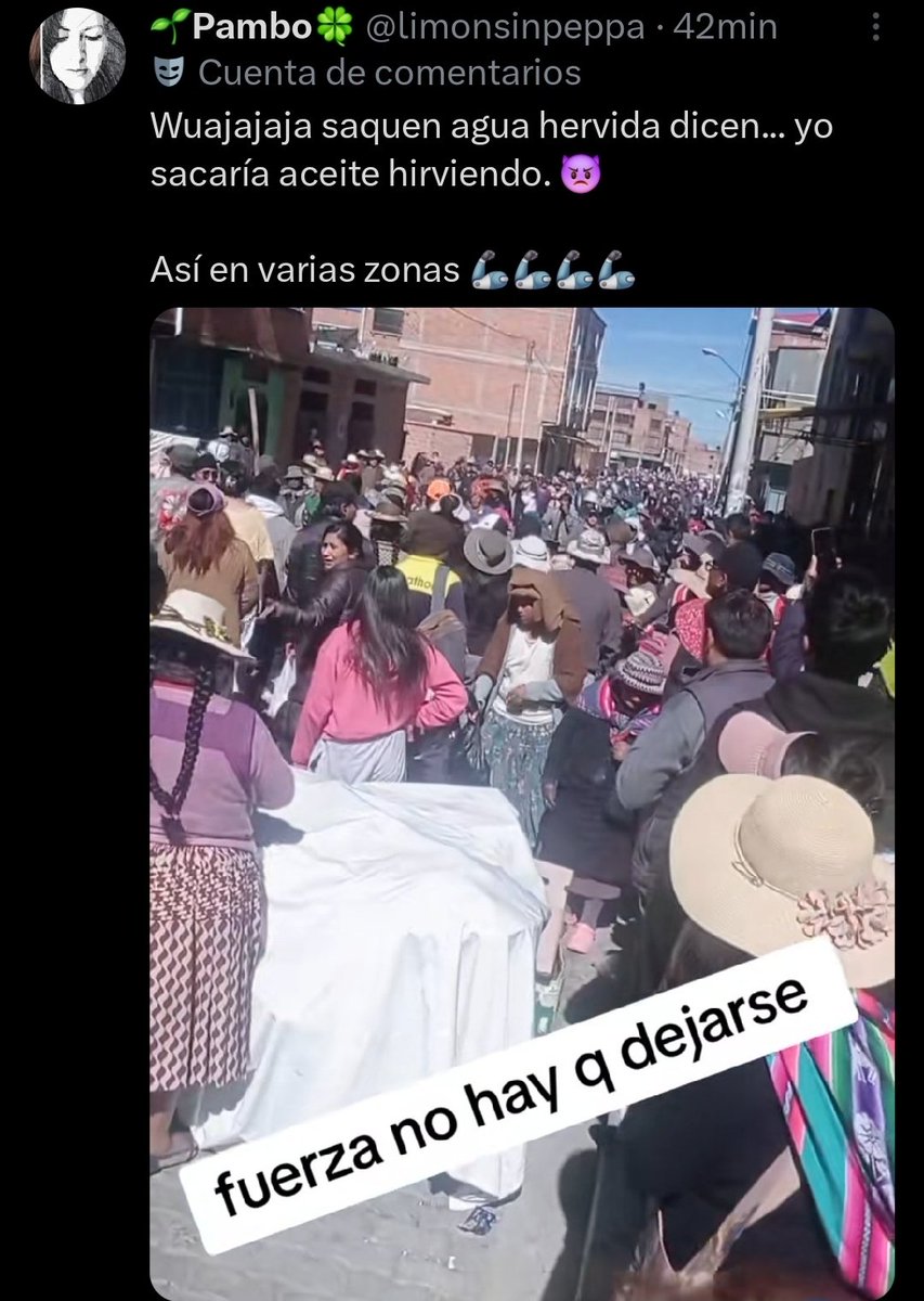 Pilincho tweet media