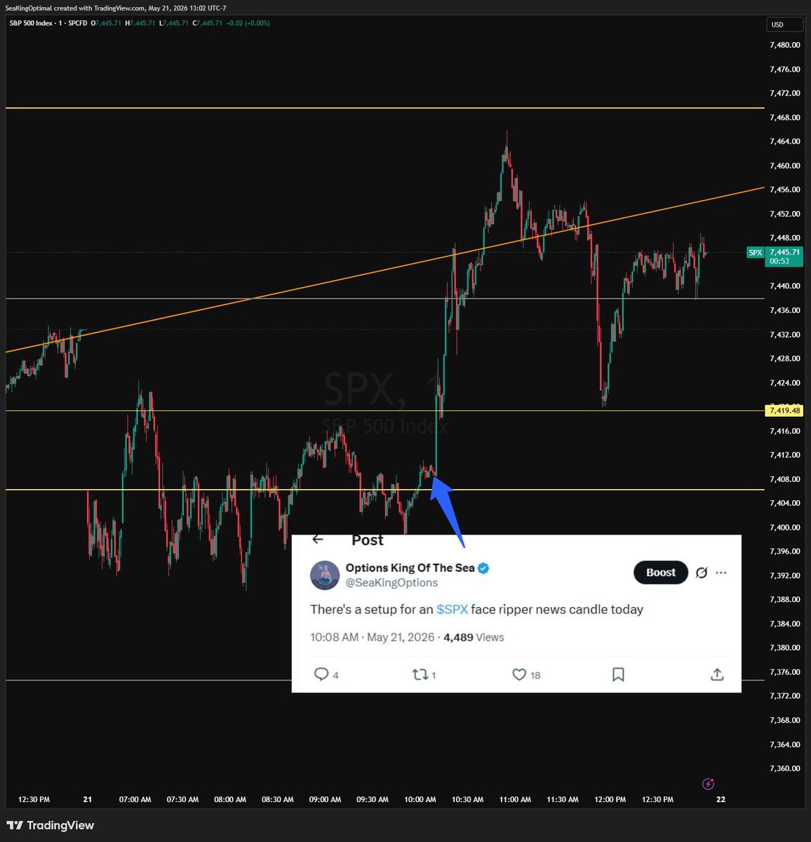 Options King Of The Sea tweet media