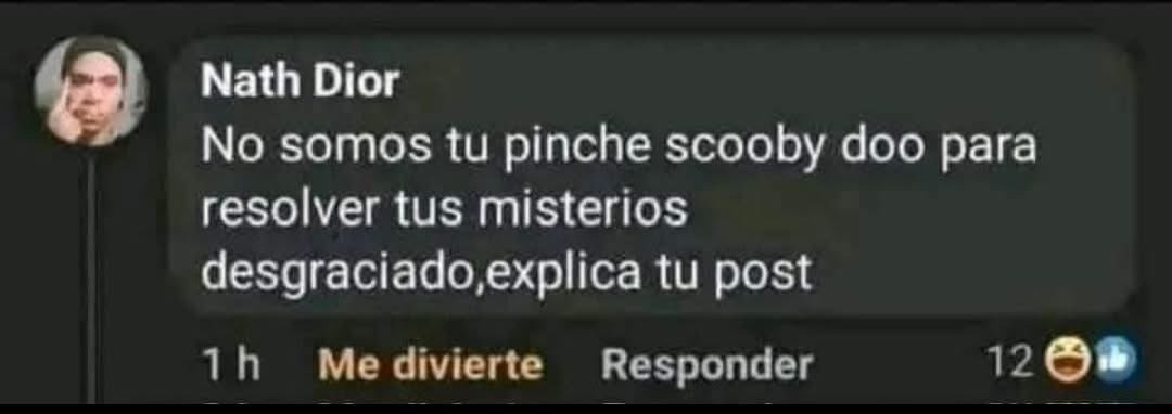 Sofi 🐛 tweet media