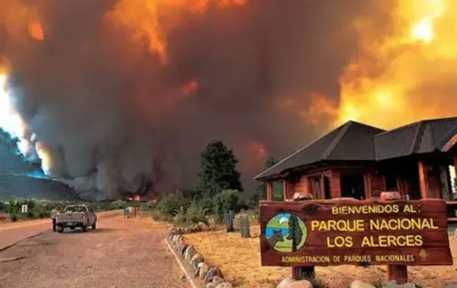 Estado de Alerta tweet media