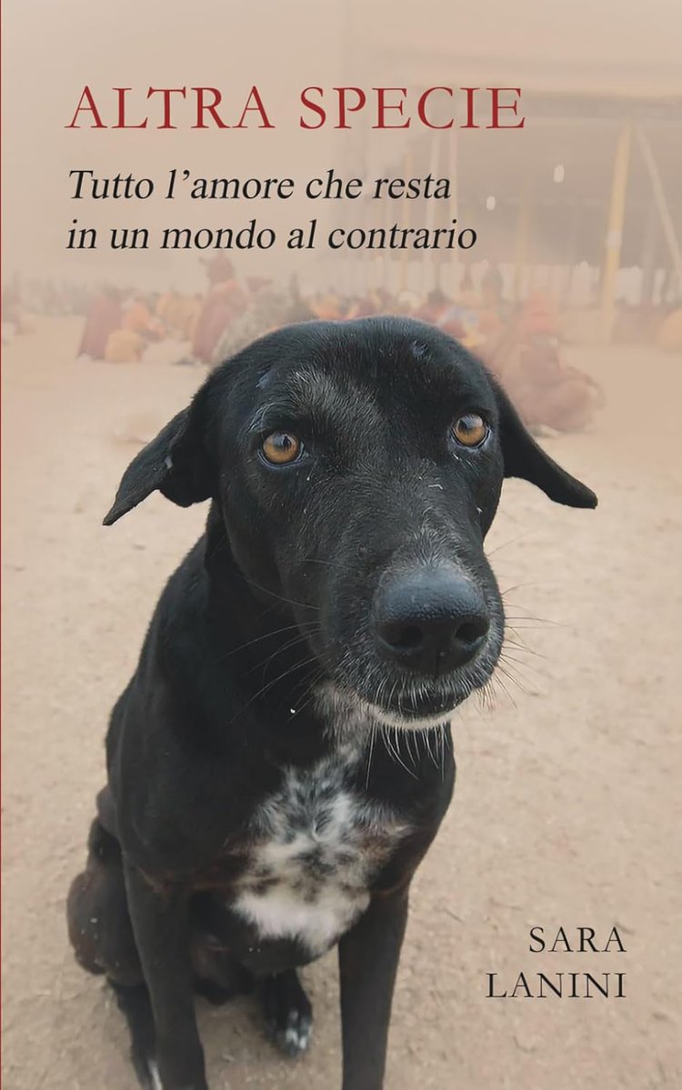 ©¤®ÐƏ tweet media