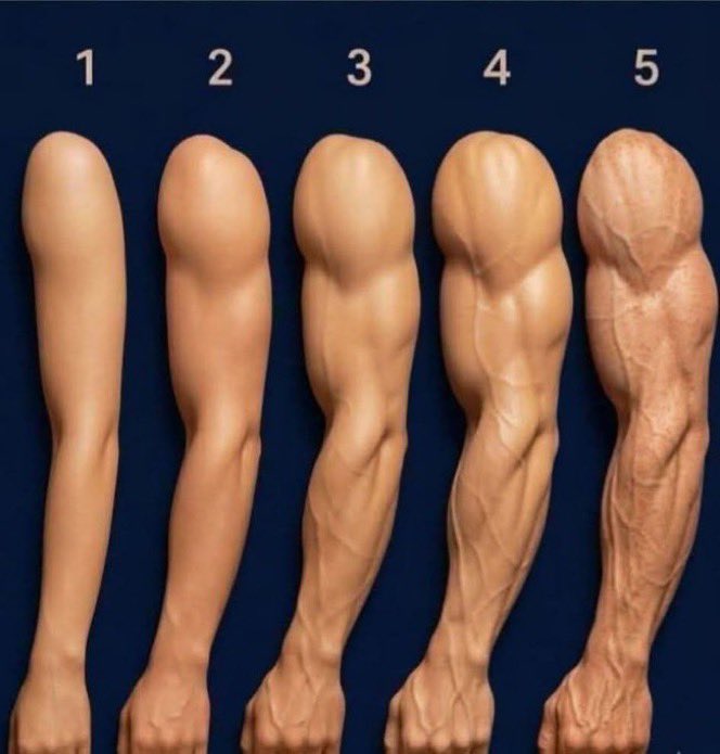 bolexy2004's tweet photo. Gym goers 
What number are you here💪? https://t.co/4wpW3UBsAw