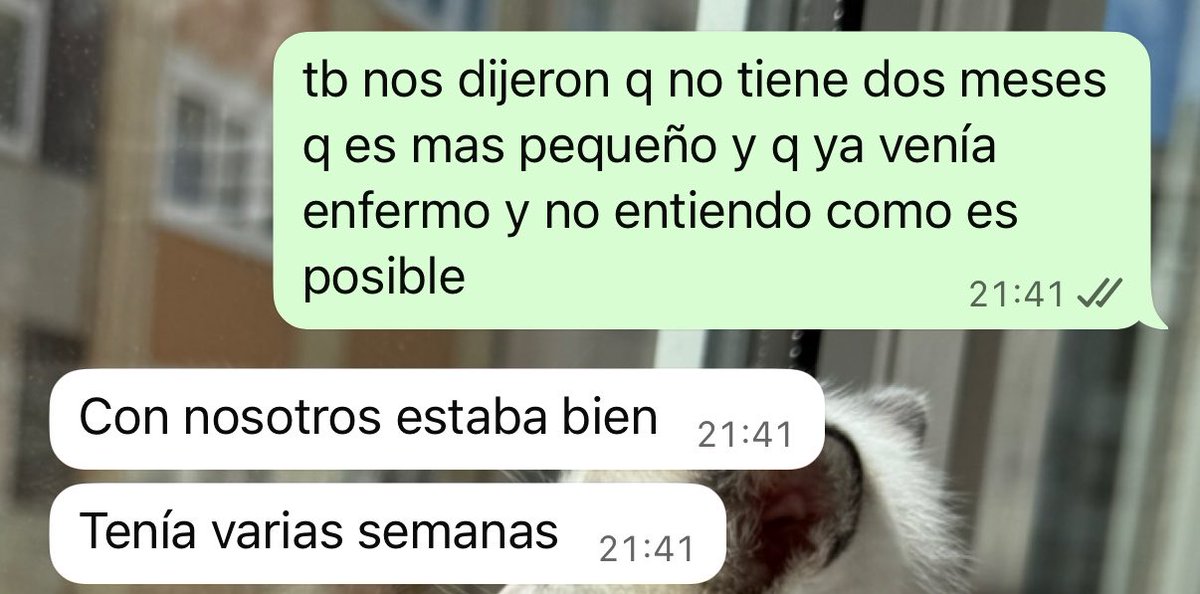 katia ୨୧ tweet media