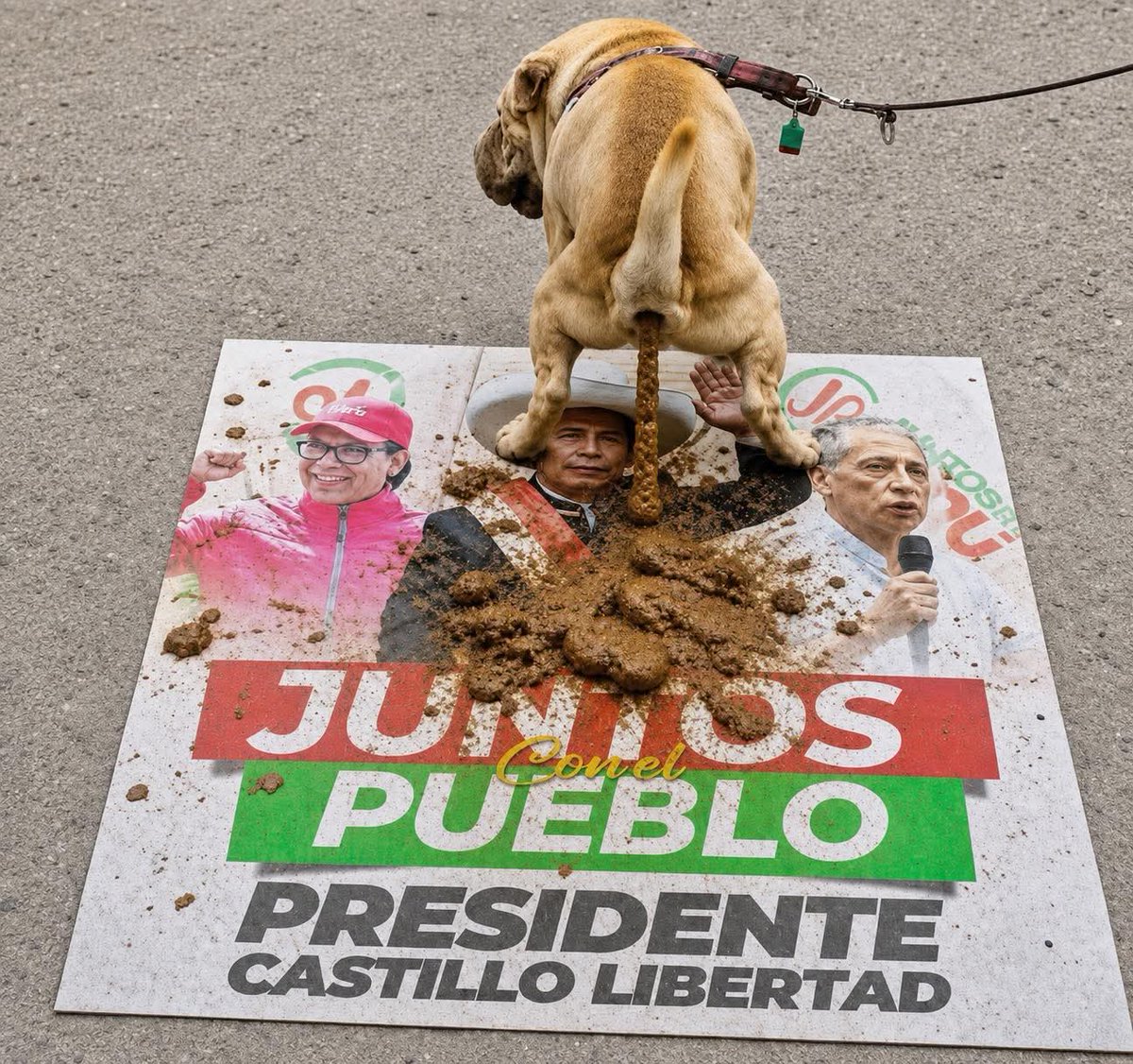 zambitadelTwi🇵🇪♥️💪 tweet media
