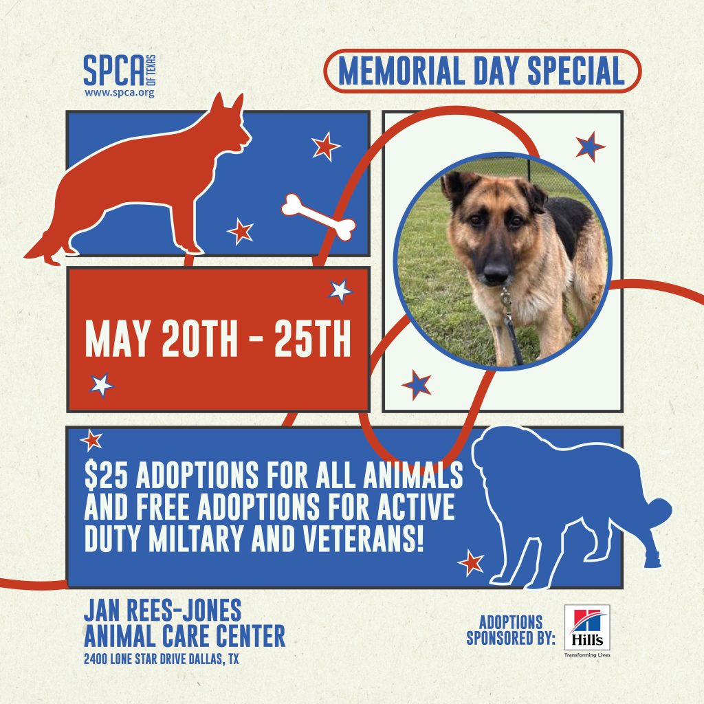 SPCA of Texas tweet media