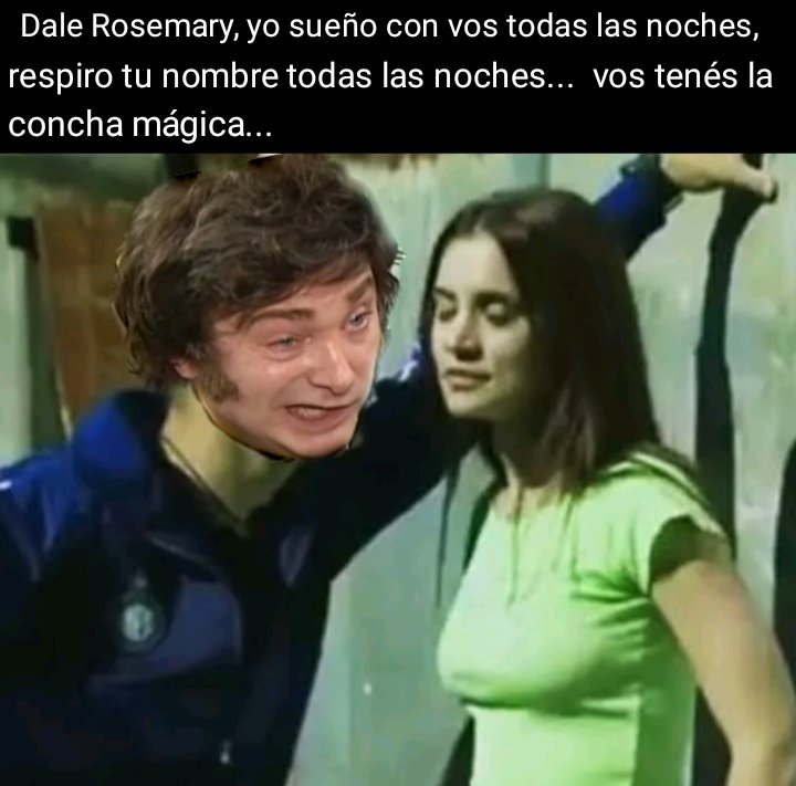 Aldo, el Mapache ⭐⭐⭐ tweet media