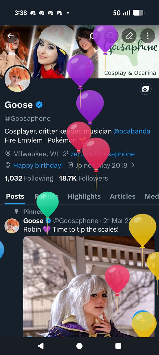 Goose tweet media