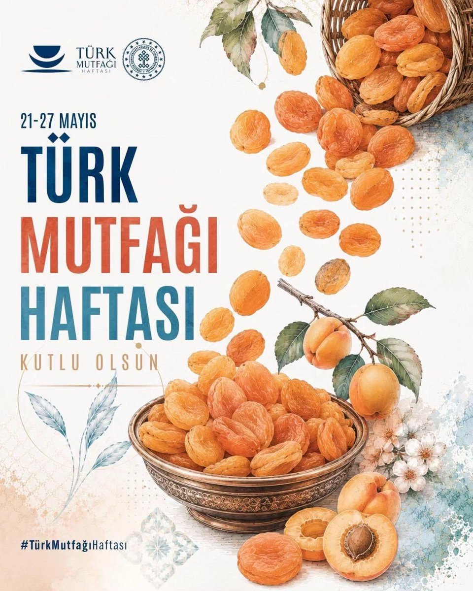 Türkiye in Morocco tweet media