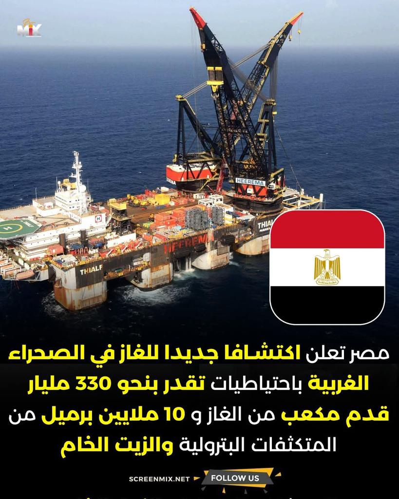 شوقى محمد شوقى tweet media