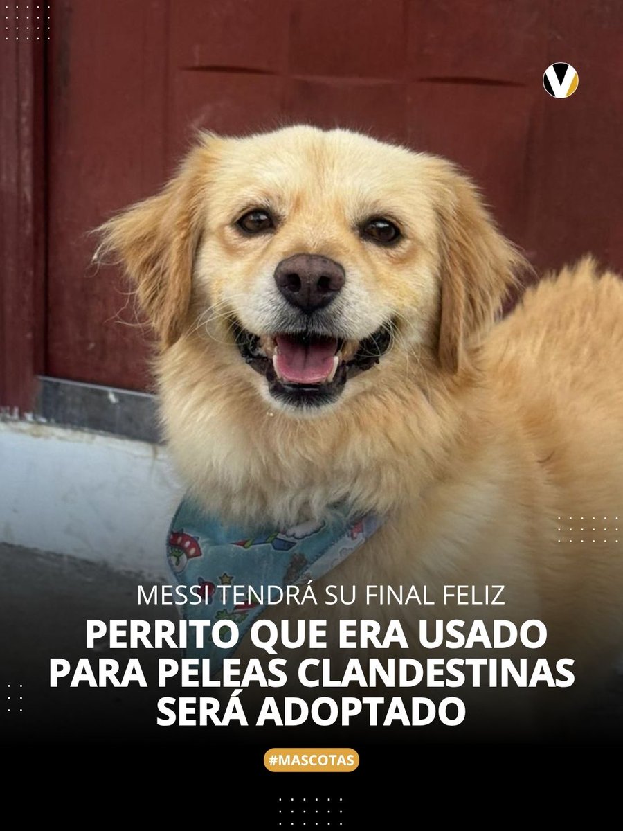 Revista Vistazo tweet media