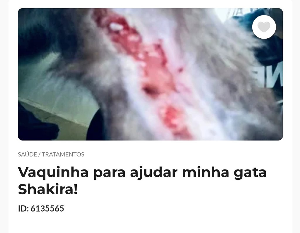 ☆ 𝕽𝔞𝔱 🐀፝ ✿ᩙ͟ ִ. tweet media